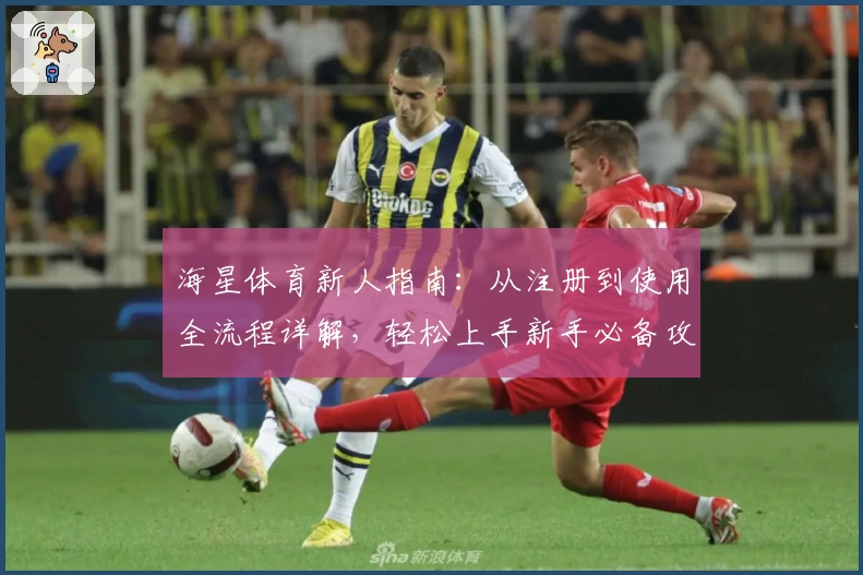 海星体育新人指南：从注册到使用全流程详解，轻松上手新手必备攻略