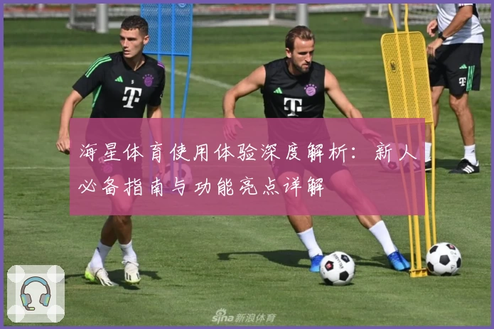海星体育使用体验深度解析：新人必备指南与功能亮点详解