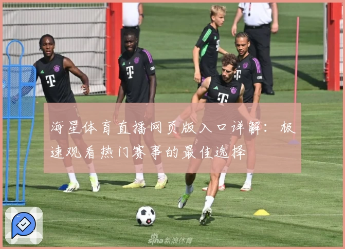 海星体育直播网页版入口详解：极速观看热门赛事的最佳选择