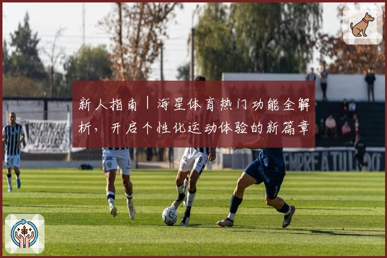 新人指南｜海星体育热门功能全解析，开启个性化运动体验的新篇章